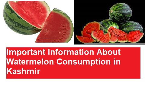 Important Information About Watermelon Consumption in Kashmir